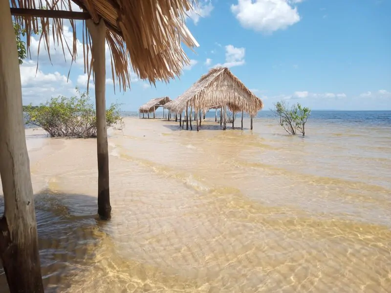 Praia de Maguari na Flona no Verão