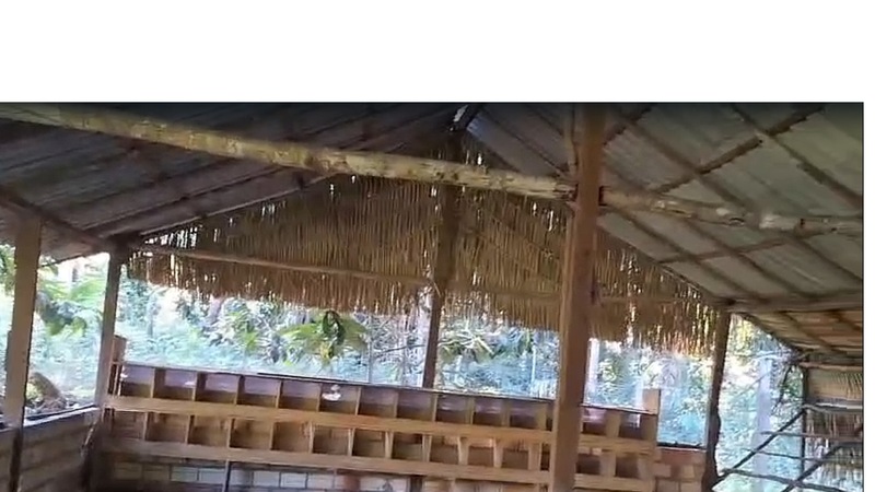 chacara para vender em alter do chao com galinheiro em alvenaria