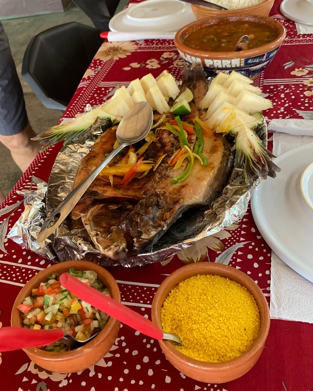 Roteiro de 5 dias em Alter do Chão: Guia de Viagem O que fazer em Alter do Chão: Roteiro de 5 dias com praias e peixe assado na Casa do Elton.