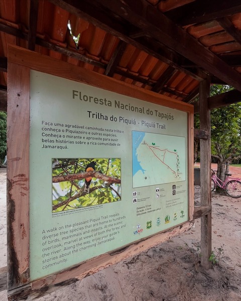 Artesanato e bioeconomia na Comunidade Jamaraquá Detalhe de artesanato produzido com látex natural por moradores da Comunidade Jamaraquá, na reserva da Flona do Tapajós