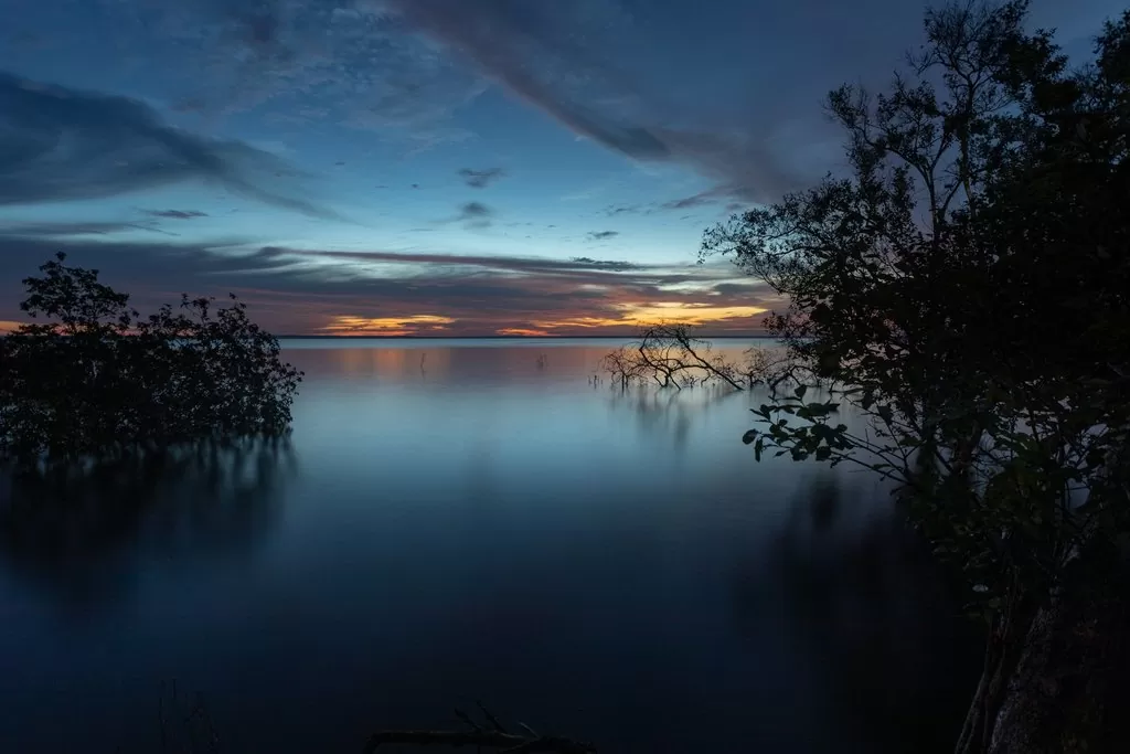 Floresta Nacional do Tapajós: cobertura vegetal preservada vista por drone Floresta Nacional do Tapajós fotografada de drone, revelando o dossel contínuo da floresta amazônica no Pará